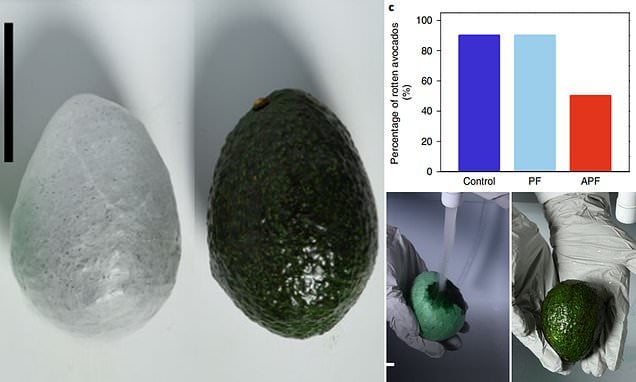 Powłoka w sprayu zamiast plastikowych opakowań. Rewolucyjne rozwiązanie na horyzoncie