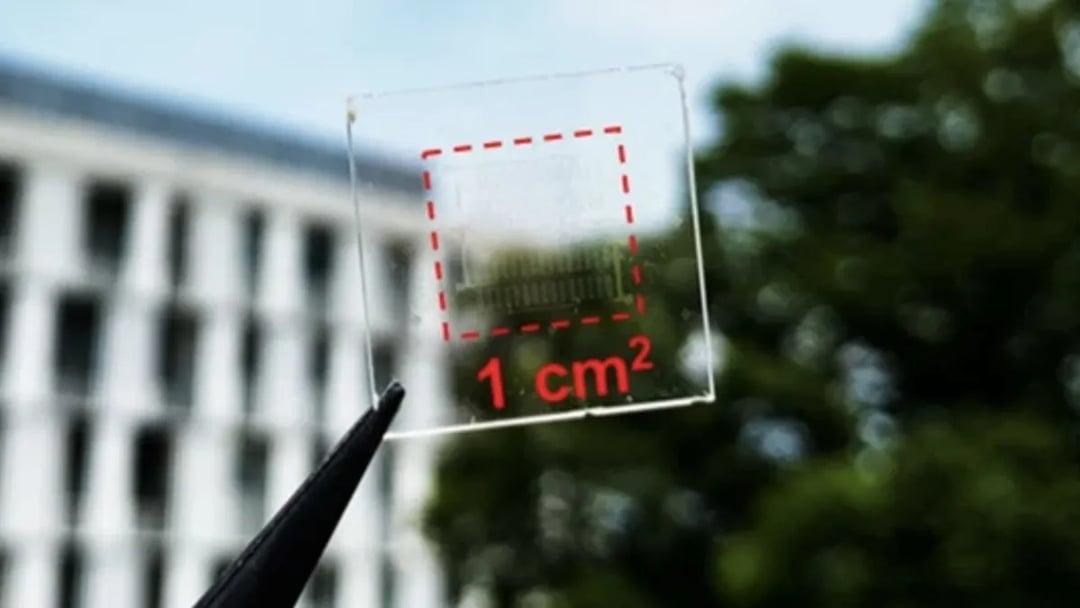 To ogniwo słoneczne nie tylko dostarcza energii. Jest też niemal niewidzialne