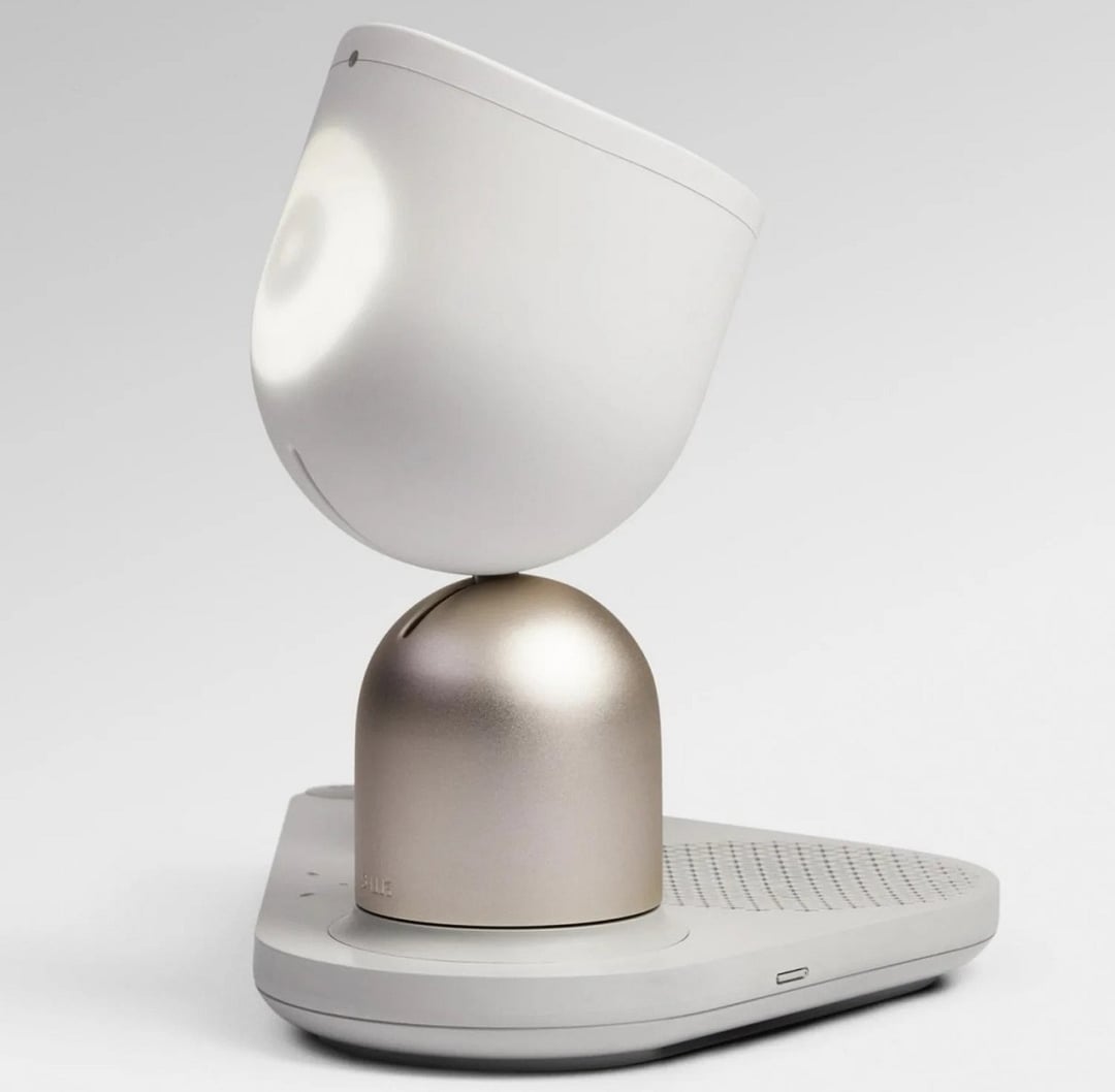 Starszym osobom będą towarzyszyły roboty. Mają pomóc w walce z samotnością