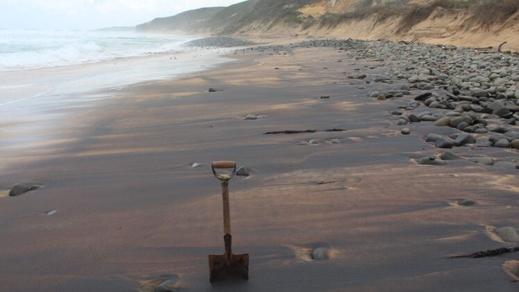 Odkryli dziwny fragment skorupy ziemskiej. Liczy aż 4 mld lat i wiemy skąd pochodzi!