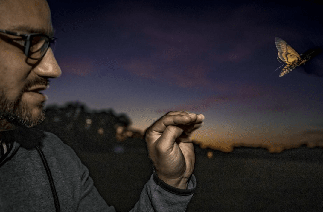 Ćmy wcale nie latają bez sensu. Naukowcy prześledzili ich trajektorie lotów