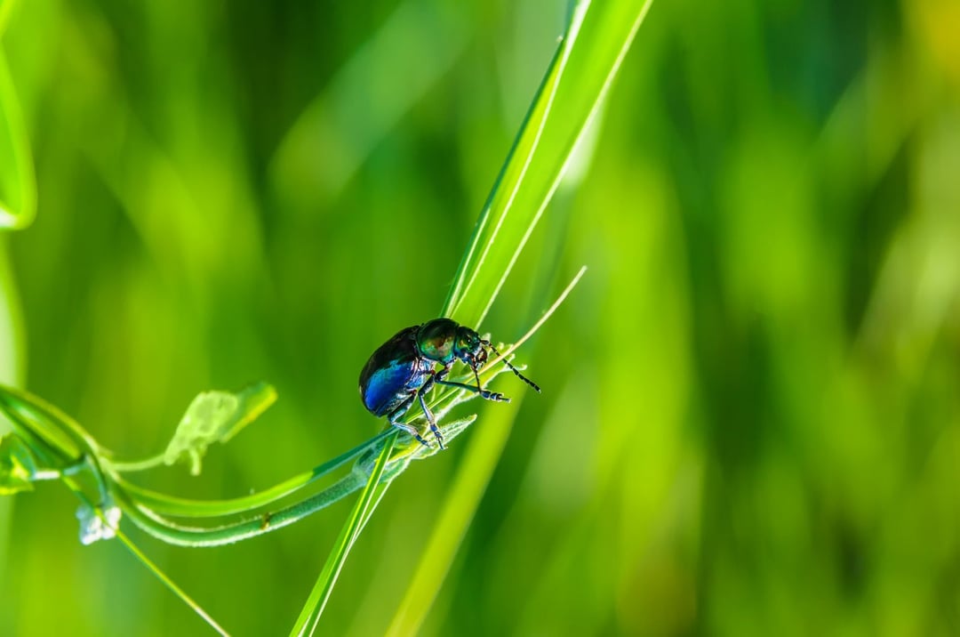Kluczowe pytanie o życie na Ziemi. Poznaliśmy odpowiedź