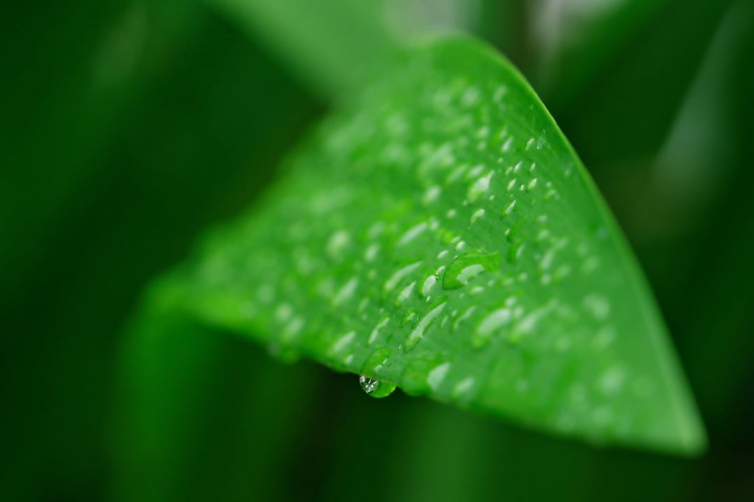 Deszczówka nie nadaje się do picia – nawet z Antarktydy. Winę ponosi za to człowiek