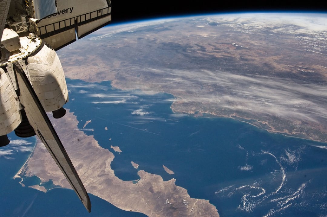 Spaghetti na dnie zatoki? Dziwaczne stworzenie uwiecznione przez badaczy