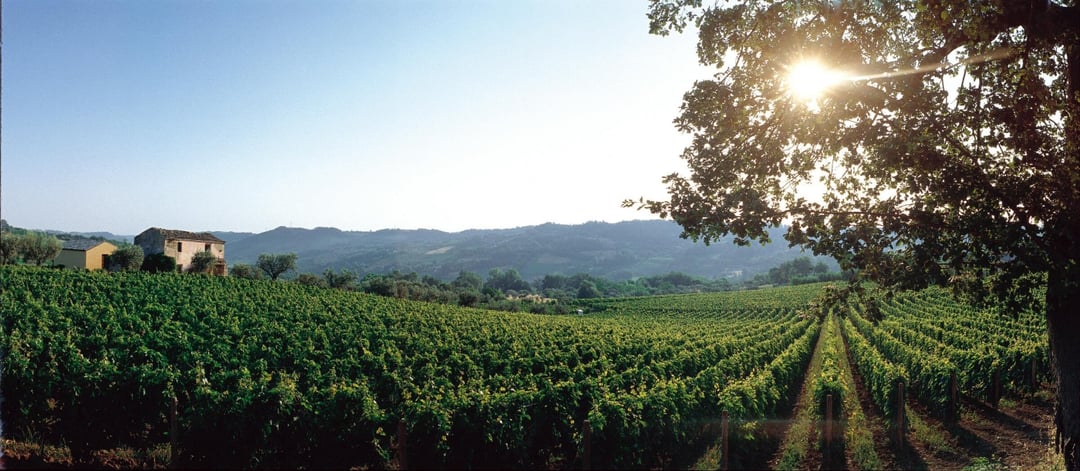 Zrównoważony rozwój – Włosi robią to dobrze