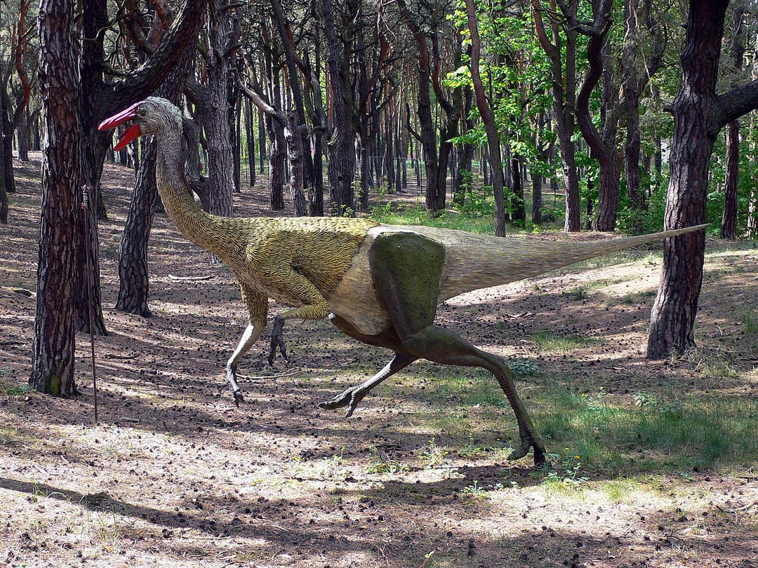 Z wyglądu podobny do strusia, ale ważył do 800 kg! Znalezisko ujawnia, co stąpało po Ziemi 85 mln lat temu