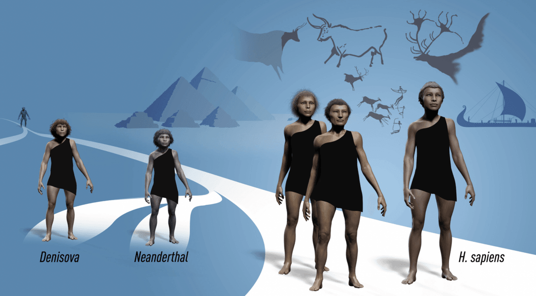 Skąd pochodzi człowiek? Nobel z medycyny 2022 – wyjaśniamy, za co go przyznano