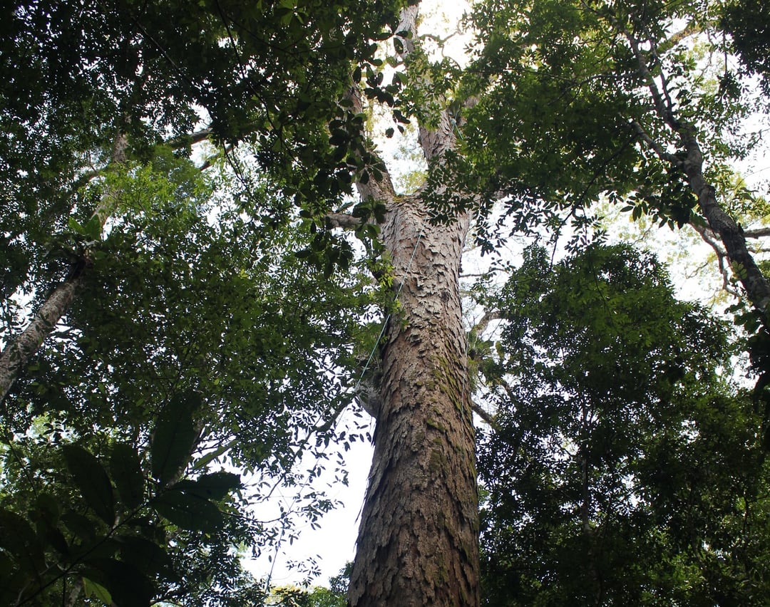 Czyste paliwo z brudnych odpadów. Ta technologia ma gigantyczny potencjał