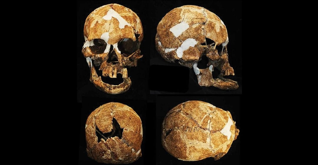 Tę wyspę miały zamieszkiwać niskie, ciemnoskóre postacie. Znalezione szczątki potwierdzają legendę