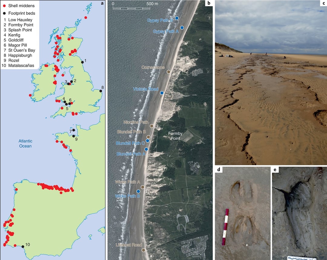 Autostrada sprzed tysięcy lat. Dawniej poruszali się nią nie tylko ludzie