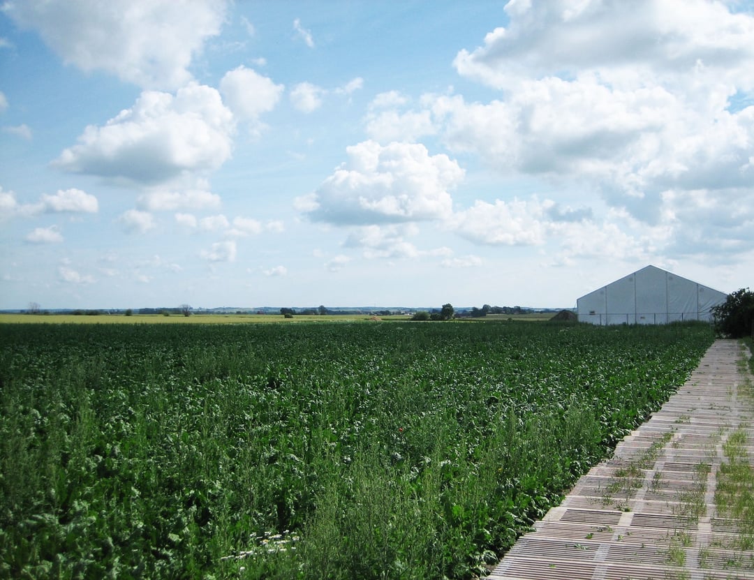Najważniejsze stanowisko archeologiczne w Europie? Znajdują się tam pamiątki z epoki żelaza