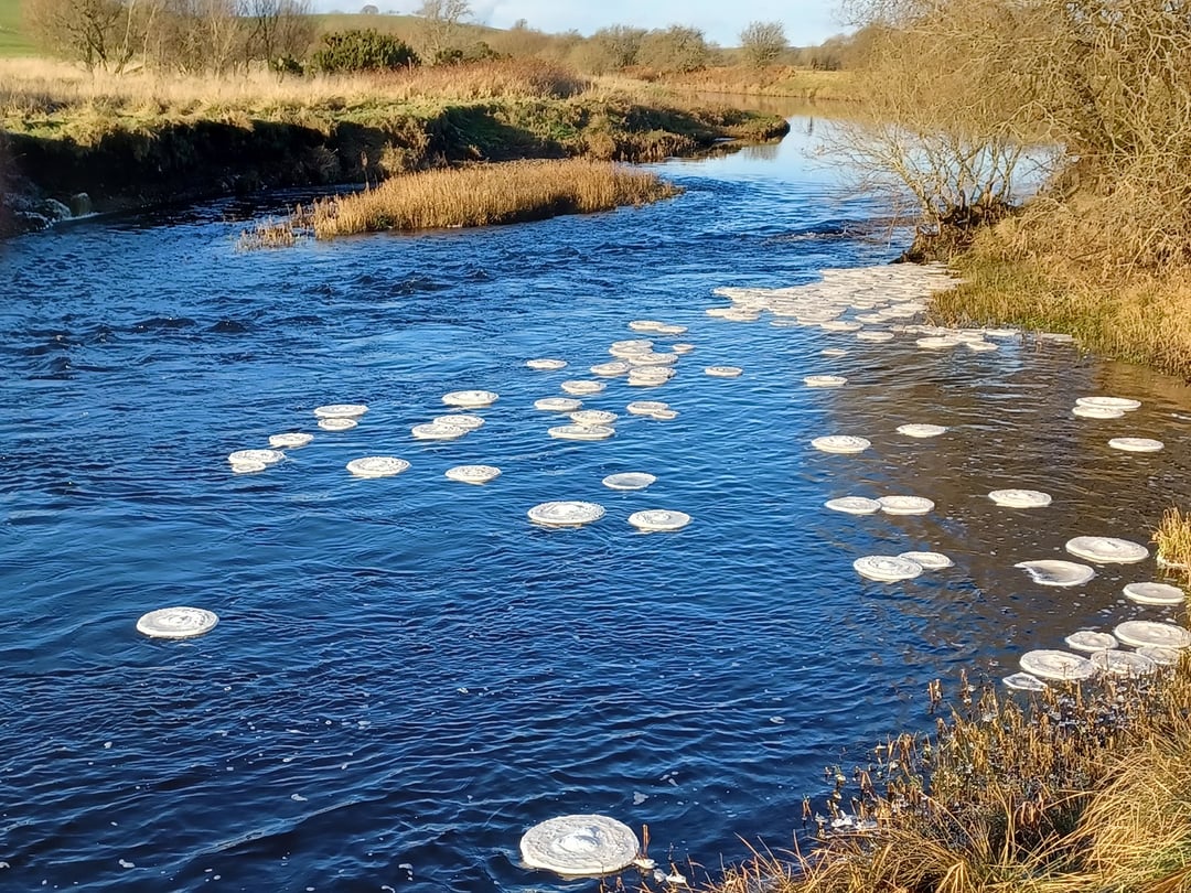 Zagadkowe obiekty pojawiły się na powierzchni rzeki. Skąd się wzięły?