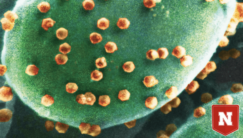 Te orzęski żywią się wirusami. Przez lata nie wiedzieliśmy, że to możliwe