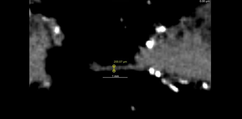 Miniaturowa głowa i ogromna zagadka. Poznaliśmy odpowiedź na nurtujące pytanie