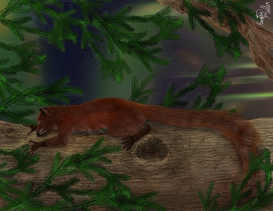 Ssaki naczelne na dalekiej północy? Naukowcy przecierają oczy ze zdumienia