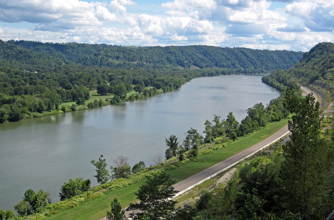Jedna ryba niczym miesiąc picia skażonej wody. Zatrważające doniesienia zza oceanu
