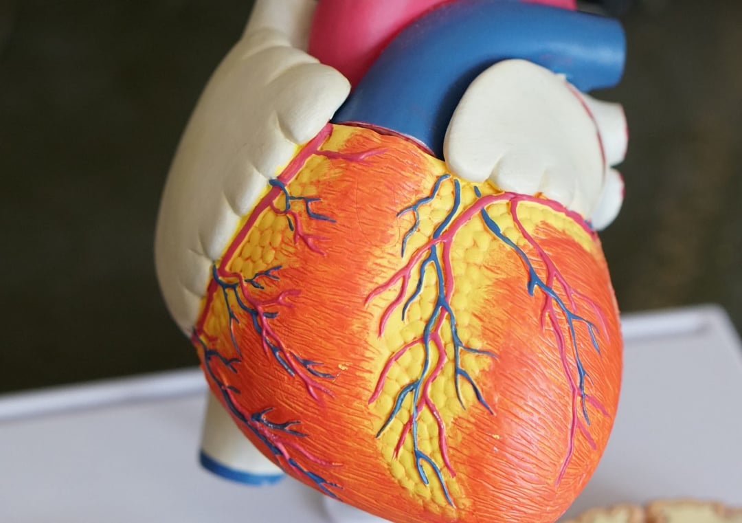 Serce jak nowe po zawale? Wystarczy edycja tylko jednego genu