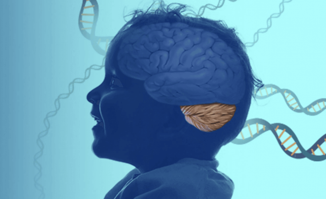 Tajemnicza choroba neurologiczna dzieci. Wcześniej wykryto ją u jednej z ras psów