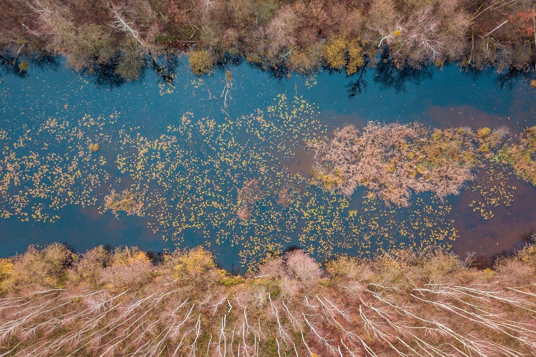 Odkryli pradawne jezioro na zachodzie Polski, którego już nie ma. Kto mieszkał nad jego brzegiem?