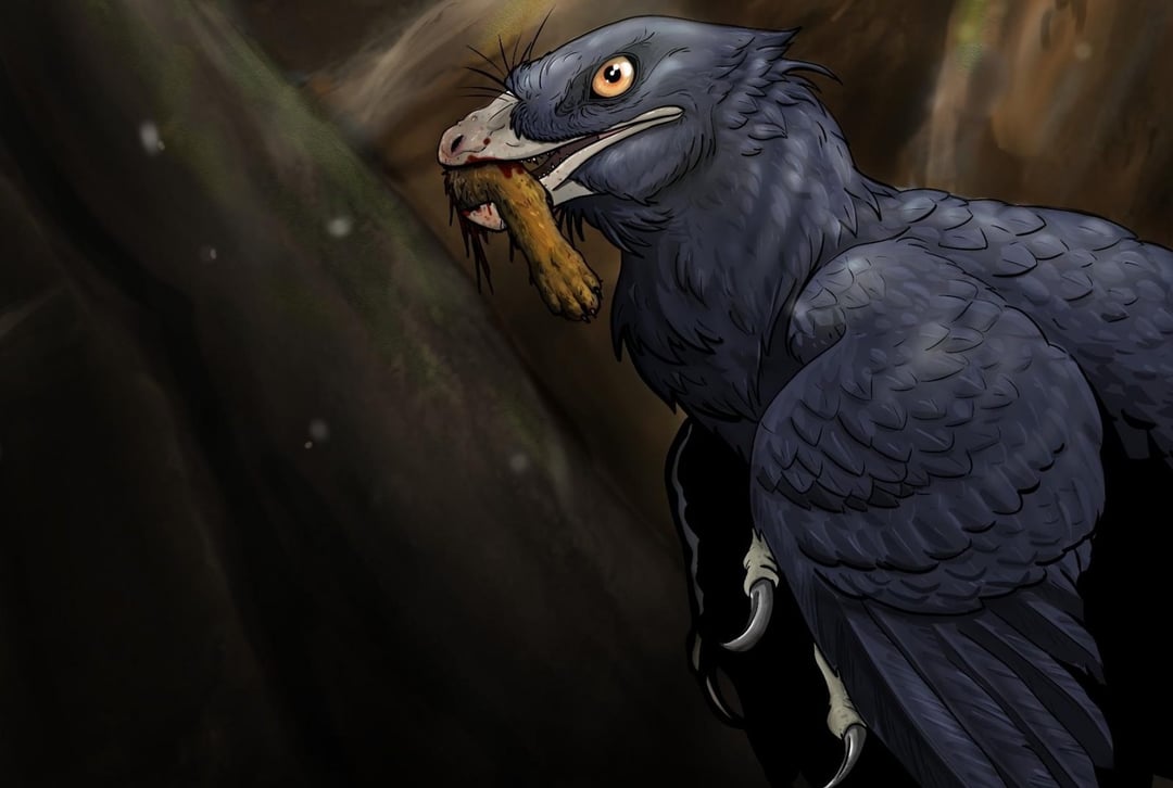 Ważne znalezisko w żołądku mikroraptora. Nie ma wątpliwości, co jadły dinozaury