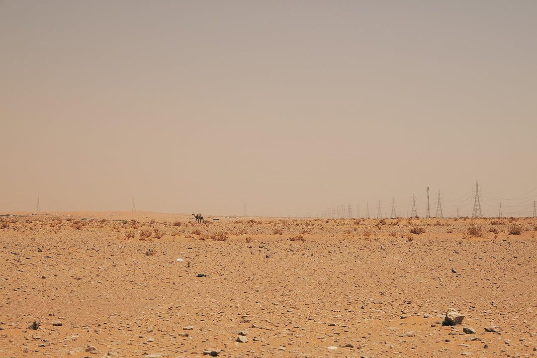 Te rzeźby są starsze niż Stonehenge i egipskie piramidy. Co przedstawiają?