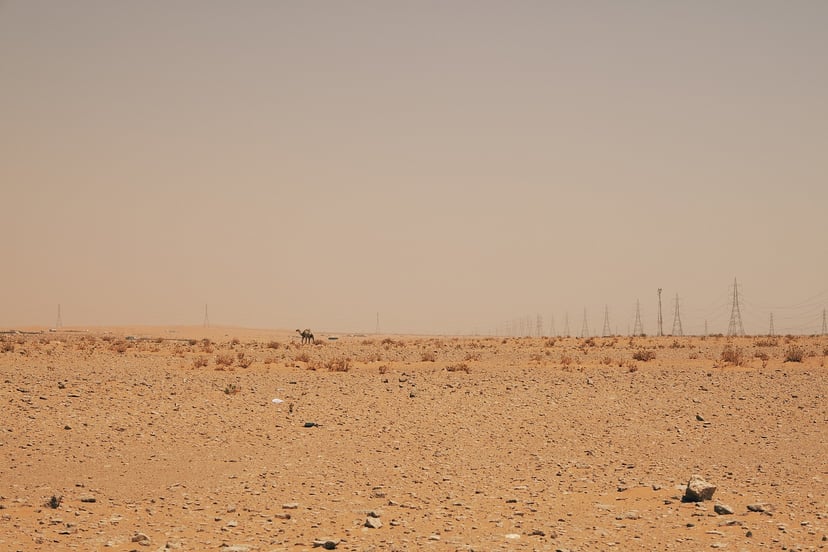 Te rzeźby są starsze niż Stonehenge i egipskie piramidy. Co przedstawiają?