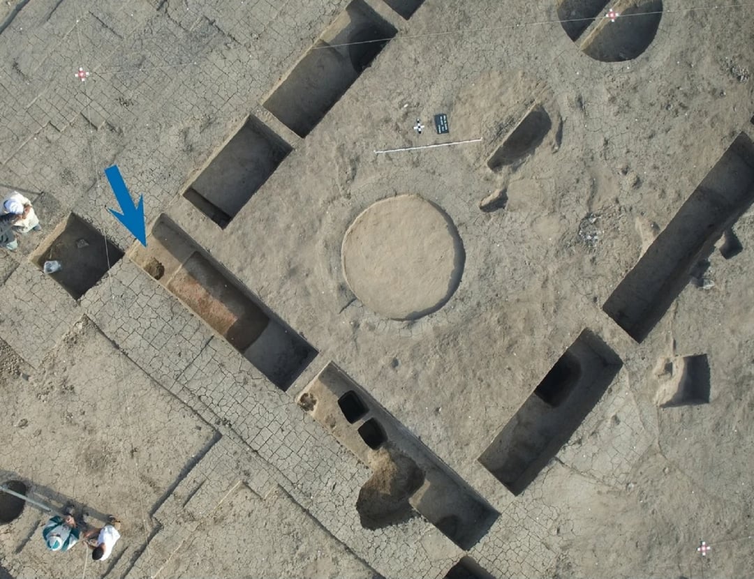 Znaleźli 12 odciętych dłoni. To pozostałości po krwawej ceremonii