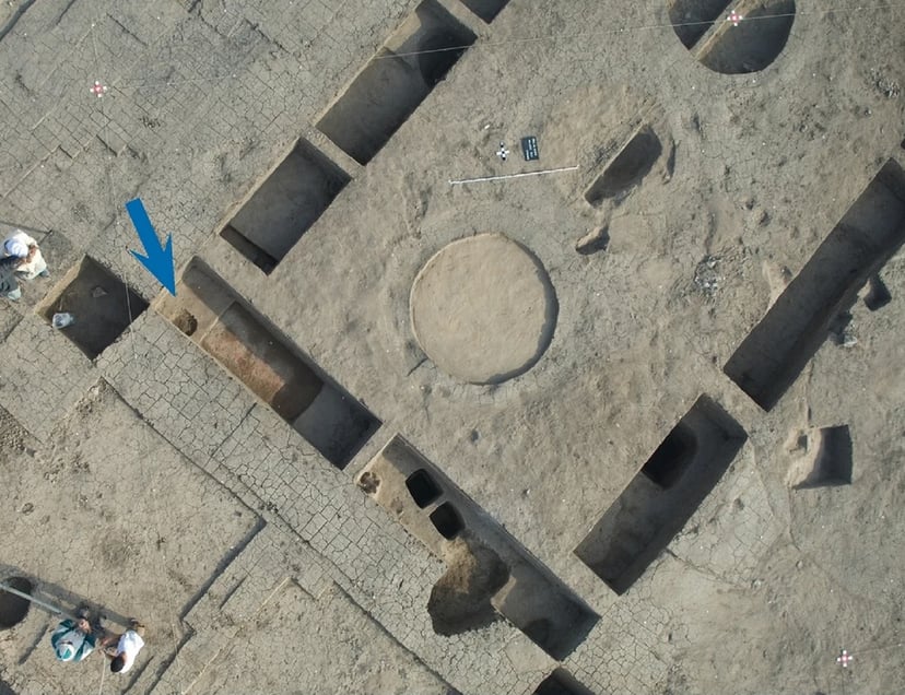 Znaleźli 12 odciętych dłoni. To pozostałości po krwawej ceremonii