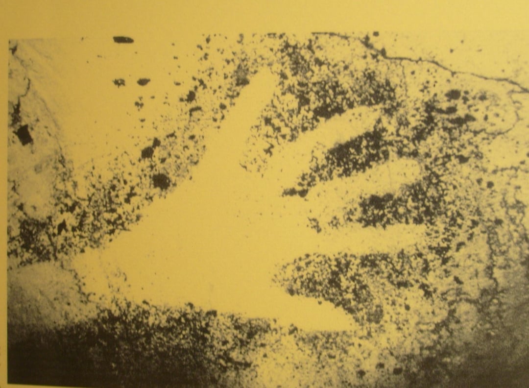 Jaskinia Cosquera to prawdziwie nietypowe miejsce. Aby do niej wejść, trzeba głęboko zanurkować