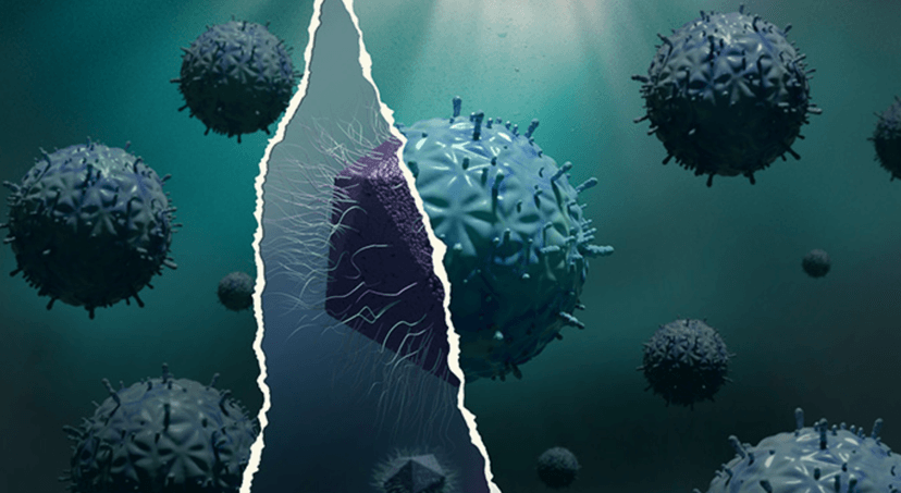 Te nowe wirusy są niepodobne do czegokolwiek, co znaliśmy do tej pory