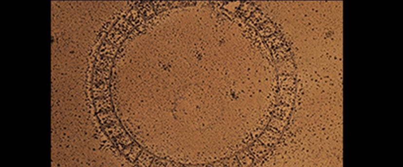 Tak próbowano kiedyś kontrolować pogodę. Archeolodzy nie widzieli przedtem podobnych struktur