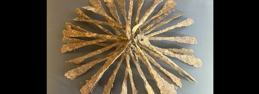 Sprzątała piwnicę i znalazła 1000-letni skarb. Porządki nie muszą być nudne