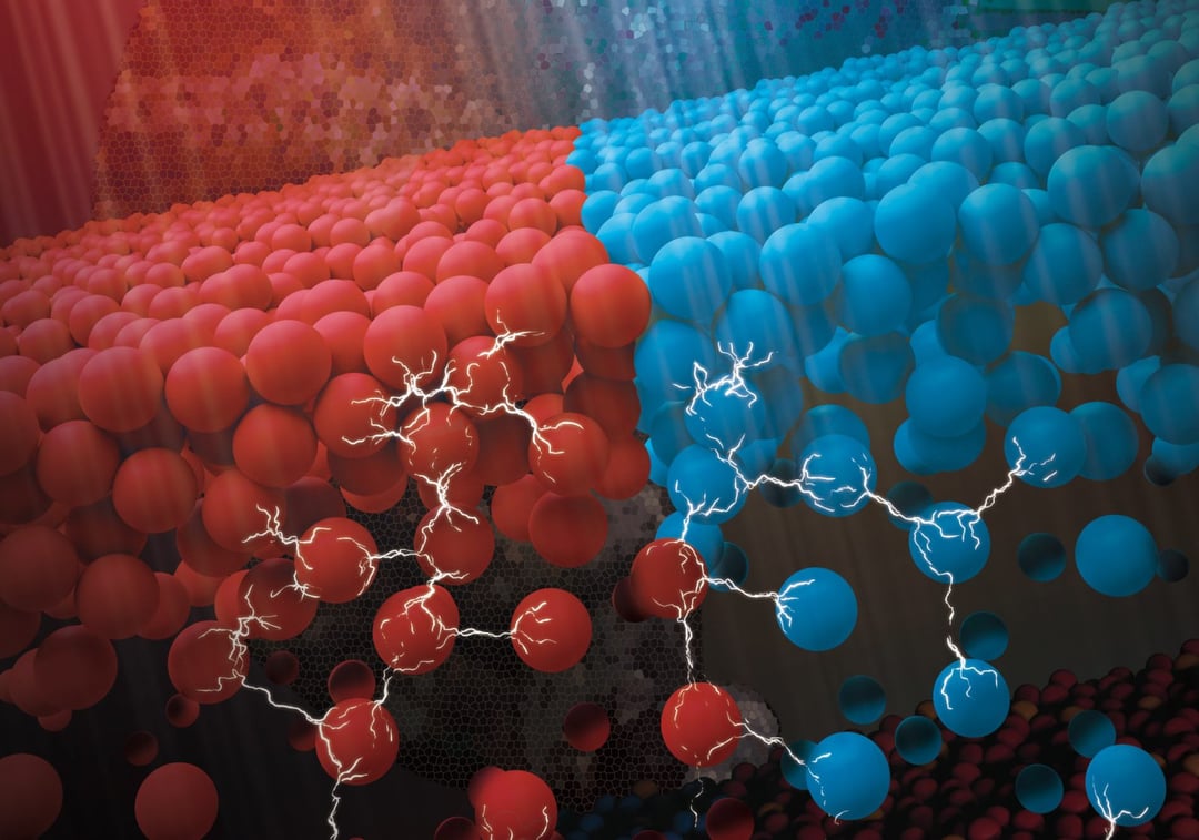 Ośmiornice znów nas zainspirowały. Nowy materiał będzie podstawą kamuflażu doskonałego
