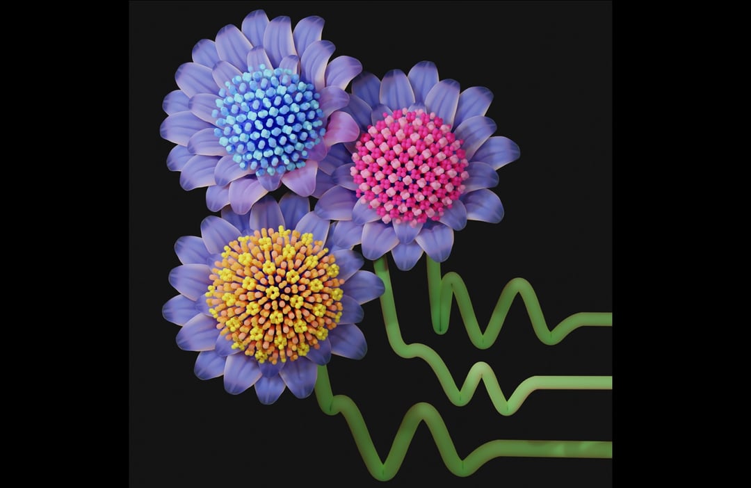 Kryształy samoczynnie się organizują. Właśnie odkryto 20 nowych struktur