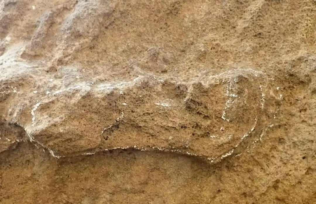 Tam człowiek przechadzał się już dziesiątki tysięcy lat temu. Zlokalizowano najstarsze ludzkie ślady