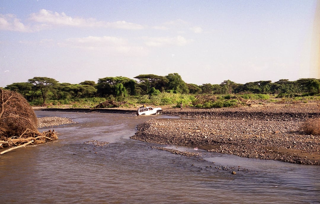 Wiemy, jak poruszała się istota sprzed milionów lat. Jej szczątki skrywają tajemnicę istnienia całej ludzkości