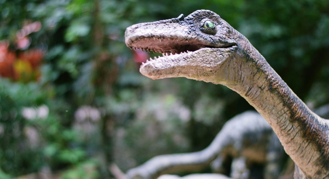 Dziobaty olbrzym nie miał prawa tam się znaleźć. Przywędrował z zupełnie innego świata