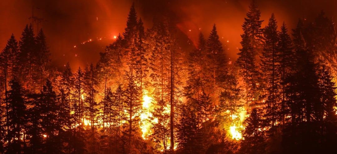 Klimat robi swoje. Liczba ekstremalnych pożarów na świecie rośnie w zawrotnym tempie