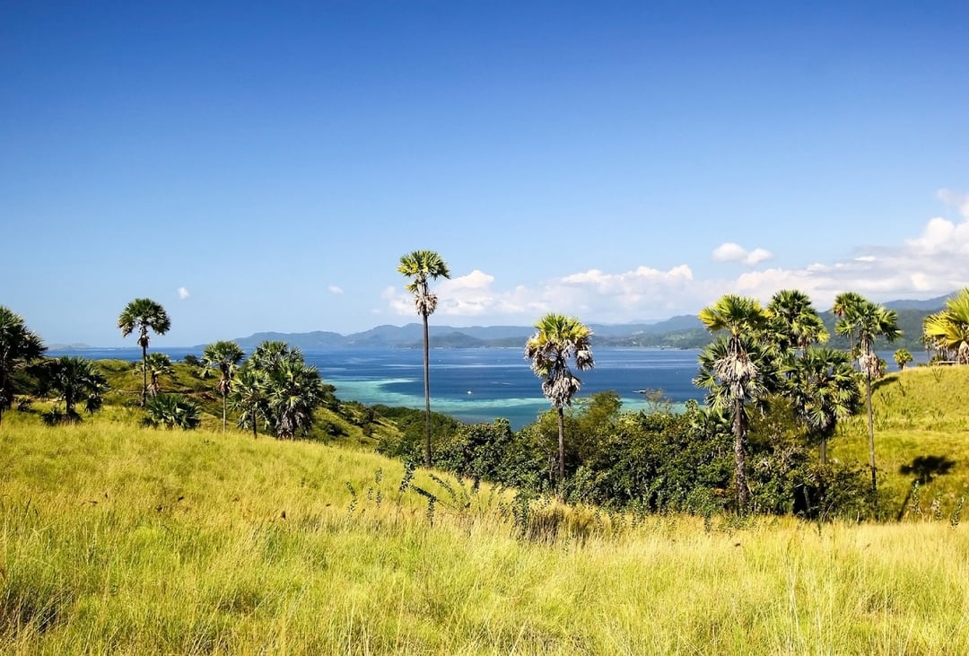 Indonezyjscy hobbici wciąż stanowią ogromną zagadkę. Wiemy, jak wyglądał gatunek do niedawna zamieszkujący Ziemię