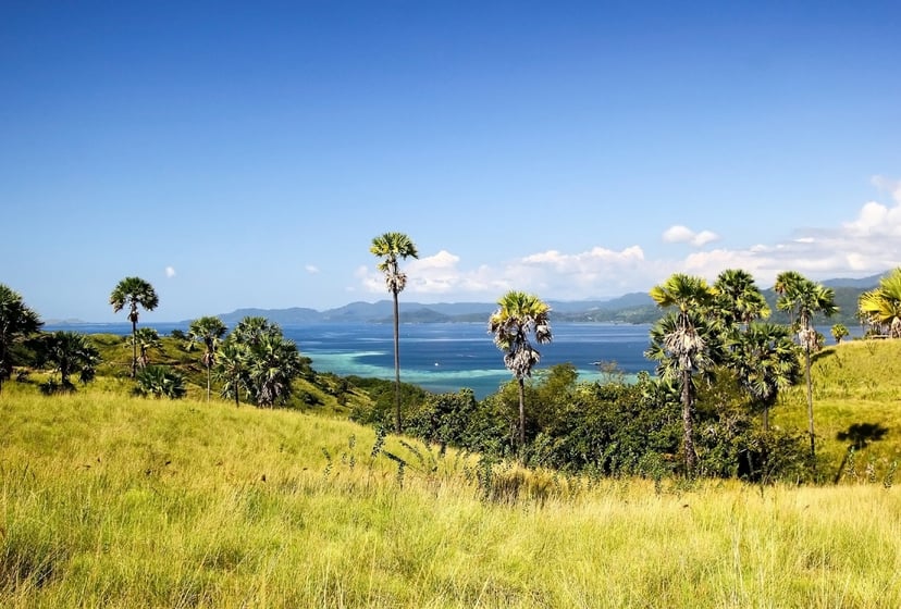 Indonezyjscy hobbici wciąż stanowią ogromną zagadkę. Wiemy, jak wyglądał gatunek do niedawna zamieszkujący Ziemię