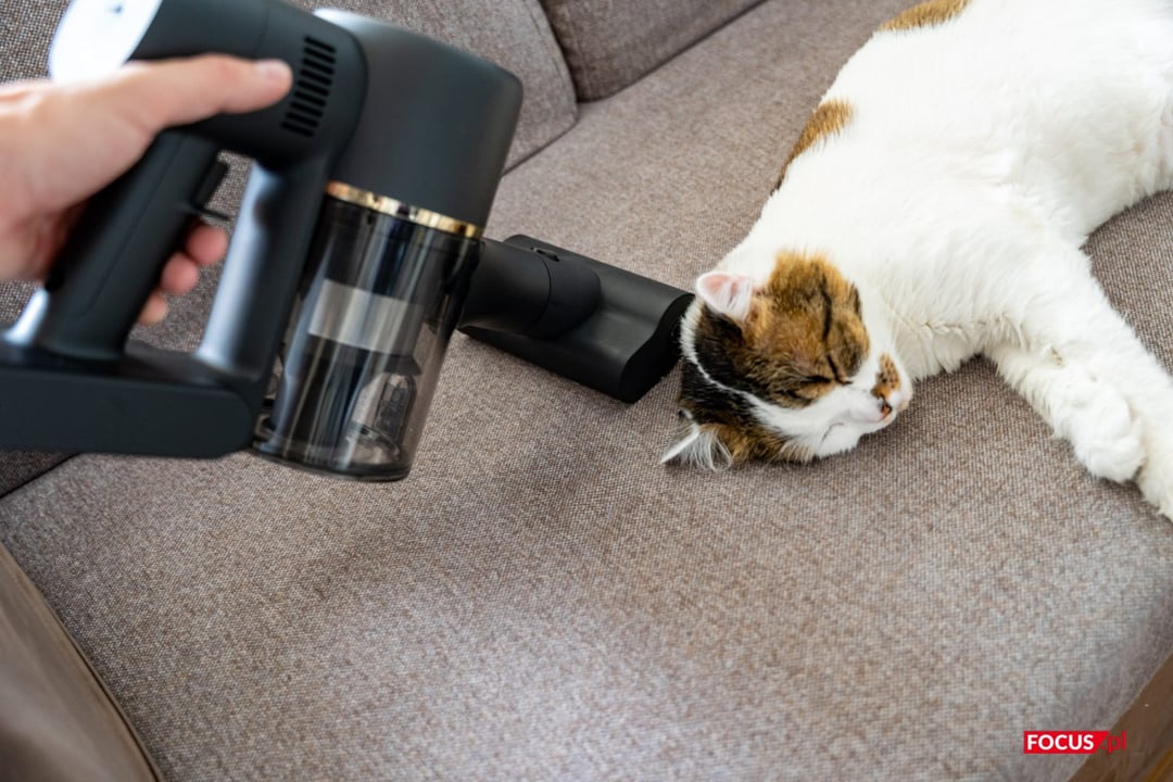 Odkurzacze pionowe podbijają nasze domy. Na jakie modele warto zwrócić uwagę?