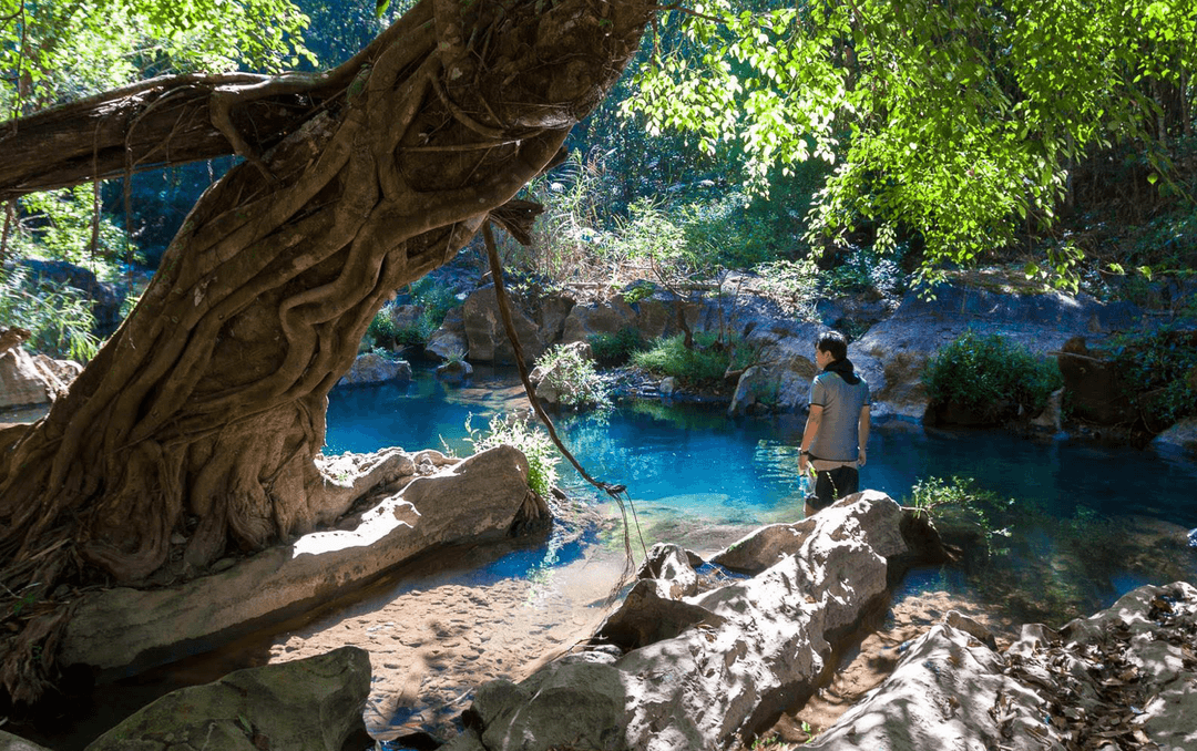 Od lat można ją kupić w sklepach zoologicznych, ale ta ryba to nowy gatunek