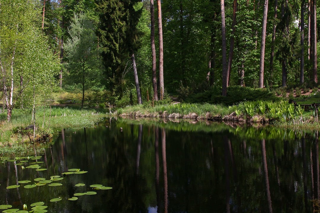 Warmińskie Pompeje. W Polsce znajduje się niesamowita kapsuła czasu