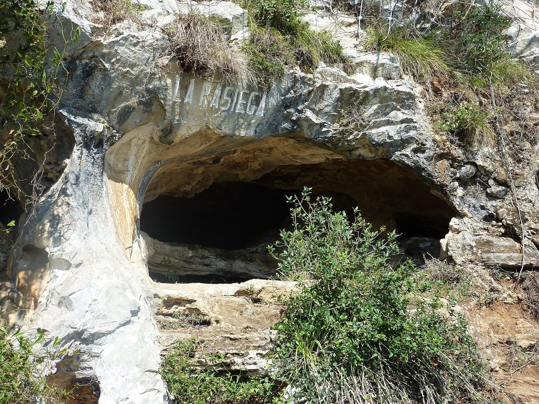 Czym były istoty rysowane przez naszych przodków? Sztuka jaskiniowa ponownie pod lupą