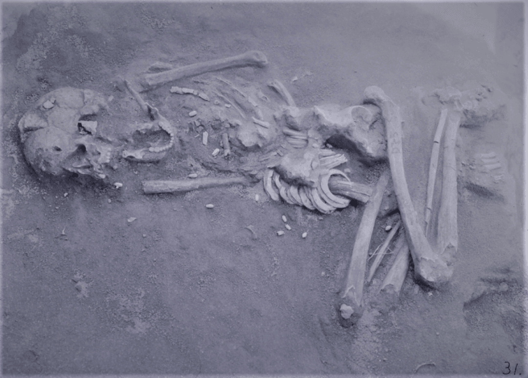 Tajemnicza społeczność miała płaskie czaszki. Ponury sekret bolesnej deformacji w końcu znany