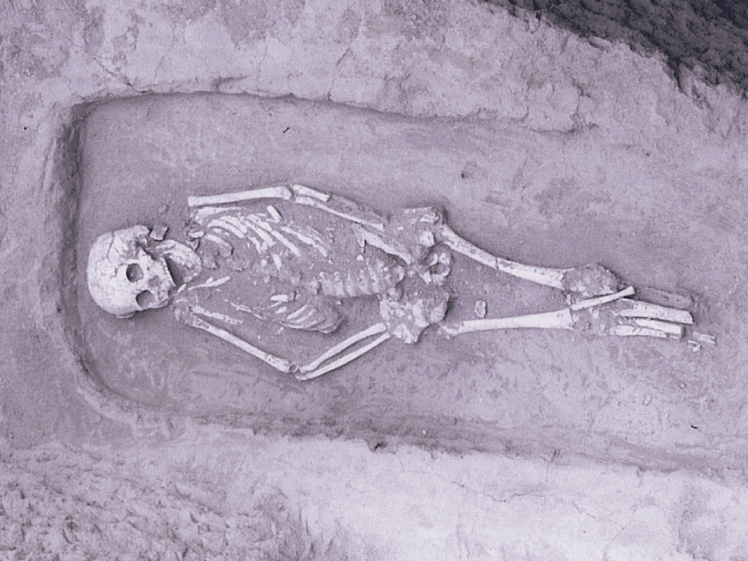 Zamieszkiwał Polskę tysiąc lat temu. Teraz wiemy, jak wyglądała ta zadziwiająca postać 