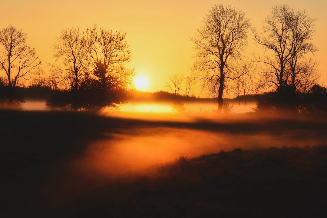 Sensacyjne znalezisko na północy Polski zmienia bieg historii. Podręczniki trzeba pisać od nowa