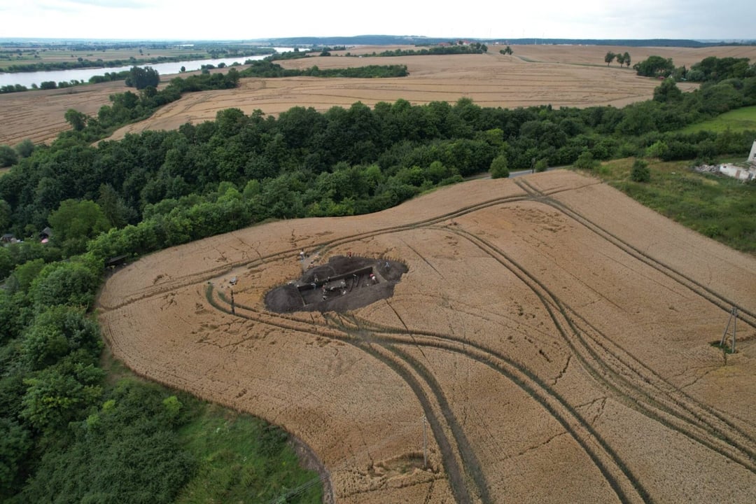 Archeologiczne cudo w północnej Polsce. Kim był tajemniczy wojownik pochowany w środku pola?
