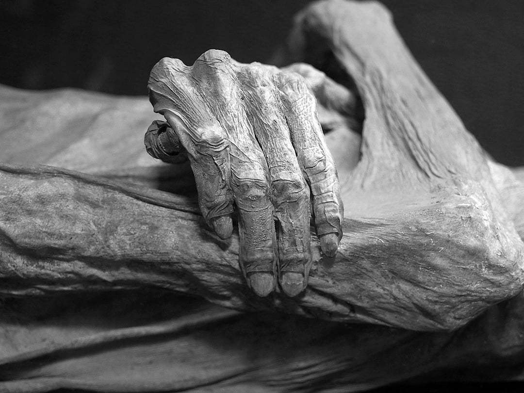 Ciało tego człowieka z Bułgarii uległo mumifikacji w 16 dni. Kryminolodzy nie dowierzają