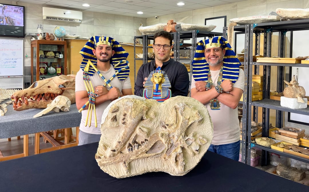 To był faraon wielorybów. Szczątki żarłocznego olbrzyma odkrywają nieznane karty historii